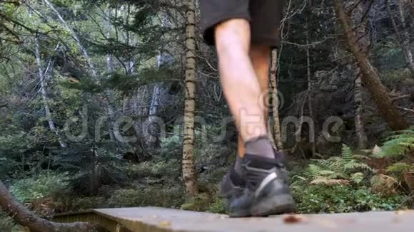 两个徒步旅行者带着背包步行同时看着森林里的风景后景视频的预览图