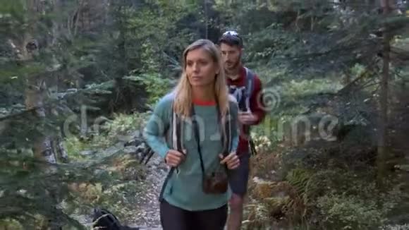 两个徒步旅行者带着背包步行同时看着森林里的风景视频的预览图