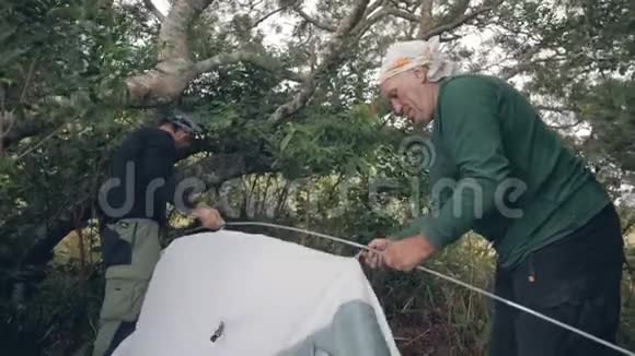 两名旅行者徒步旅行者在丛林中的森林露营中搭帐篷视频的预览图