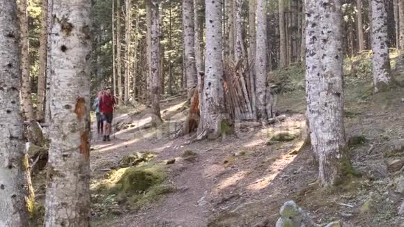 两个徒步旅行者带着背包步行同时看着森林里的风景视频的预览图