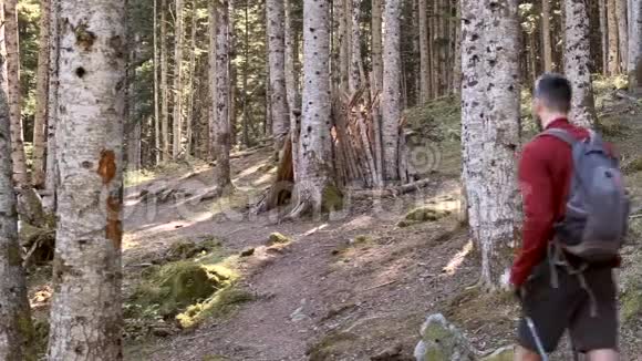 两个徒步旅行者带着背包步行同时看着森林里的风景后景视频的预览图