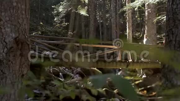 两个徒步旅行者背着背包在森林里的木桥上行走视频的预览图