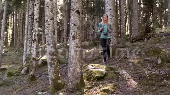 年轻漂亮的女旅行者带着背包在自然森林里散步时向旁边看视频的预览图