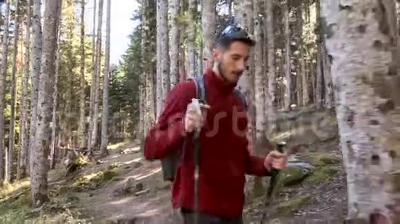 徒步旅行者带着背包在自然森林里徒步旅行视频的预览图