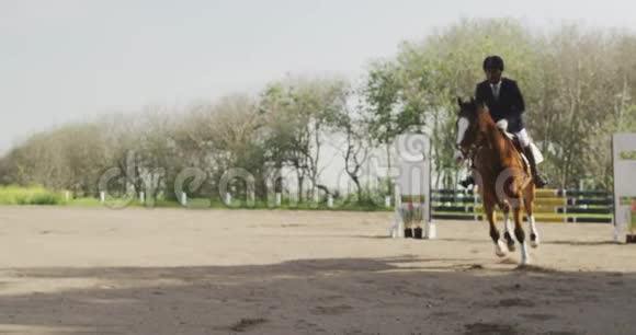 一个非裔美国人他带着他的马跳过障碍视频的预览图