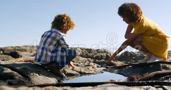 妈妈和儿子一起在海滩玩视频的预览图