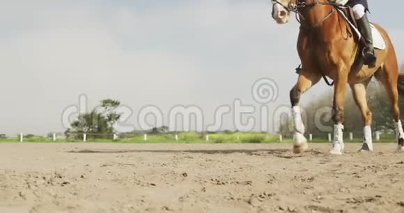 非裔美国人骑着盛装舞步的马视频的预览图
