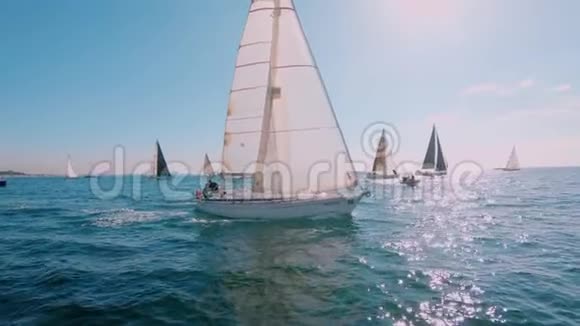 在阳光明媚的夏日举行赛船或帆船比赛视频的预览图