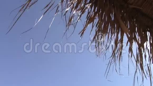 蓝天上的芦苇海滩伞视频的预览图