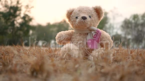可爱的小女孩走路拥抱泰迪熊坐在地上与爱在夏季公园快乐之气的概念视频的预览图