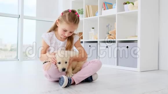 可爱的女孩轻轻地抚摸小狗视频的预览图