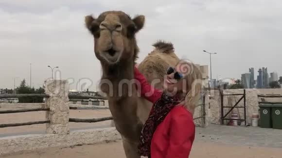 女人拥抱骆驼视频的预览图