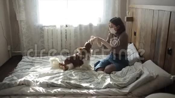 在隔离期间一个戴着面具的年轻女孩在家玩小狗时动作缓慢冠状病毒COVID19视频的预览图