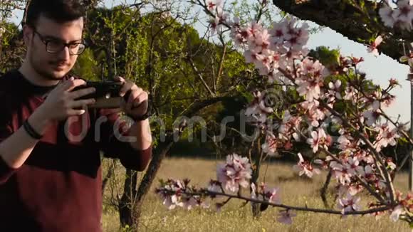 一个年轻人用手机拍杏仁花的照片视频的预览图