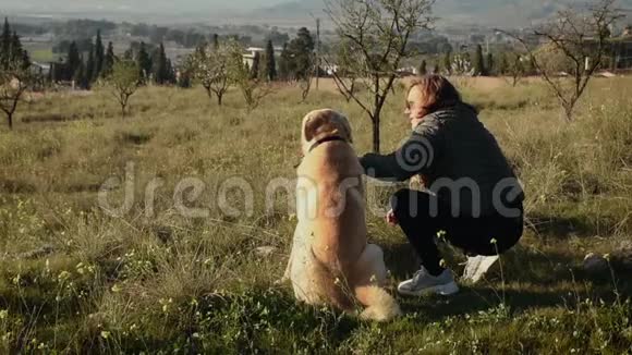 一位中年妇女带着她的拉布拉多犬在春天的田野里视频的预览图