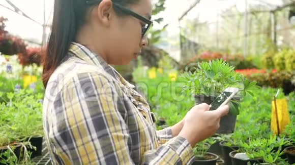 亚洲年轻的女园丁用智能手机在温室工作在农业中使用技术的概念视频的预览图