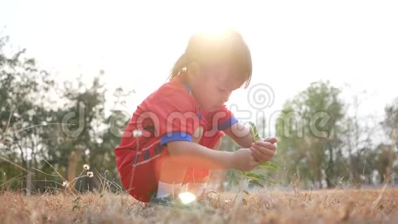 可爱的女孩看着绿色的植物在外面研究大自然儿童教育观念视频的预览图