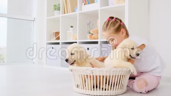 快乐的女孩和小狗玩得很开心视频的预览图
