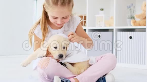 小女孩用毛巾擦干小狗视频的预览图