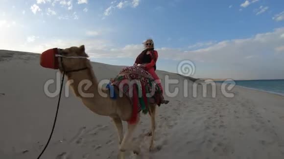 骑骆驼的女人视频的预览图
