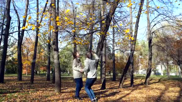 秋天孕妇和她的丈夫在树下亲吻慢动作视频的预览图