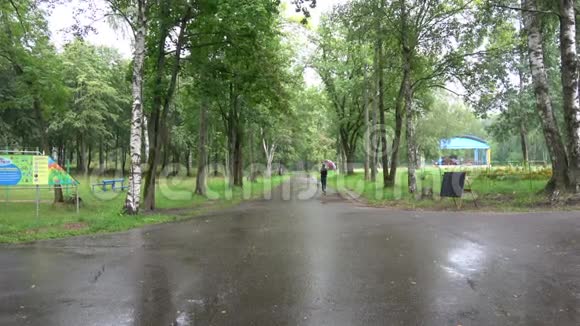 在马祖里诺公园淋雨视频的预览图