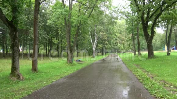 在马祖里诺公园淋雨视频的预览图