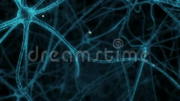 人体神经组织突触动画视频的预览图
