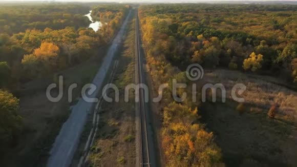铁路穿过秋天的森林视频的预览图