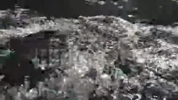 游泳海龟海龟在海里游泳视频的预览图