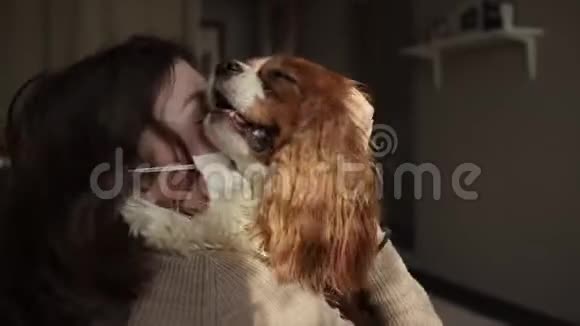 一只狗戴着医疗面具拥抱他的情妇的慢动作视频冠状病毒COVID19视频的预览图