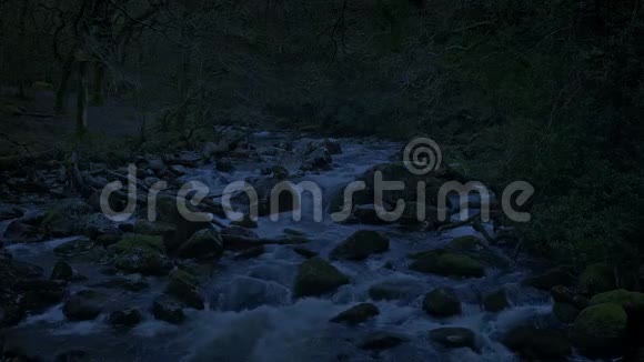 森林河流在晚上的环视频的预览图