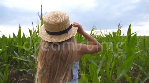 跟着戴草帽的小女孩在阴天穿过玉米地穿着衣服的小孩在绿色的草地上慢跑视频的预览图
