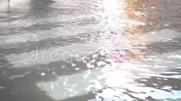斑马线被水淹没视频的预览图