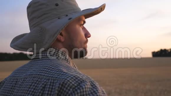 年轻的农民站在麦田里看着金色的种植园日落时分男性农学家考察大麦草地视频的预览图