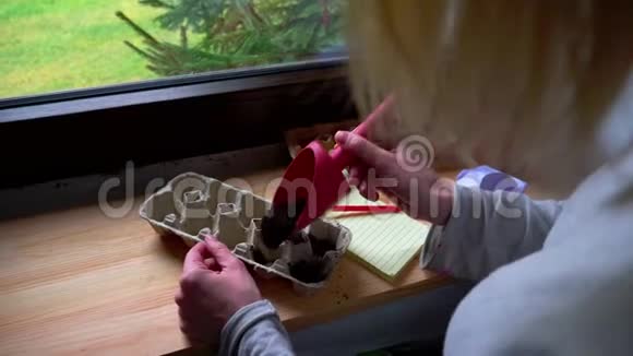 女人在鸡蛋箱里种蔬菜种子视频的预览图