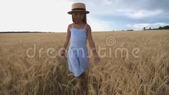 一个美丽的小女孩留着长长的金发穿过麦田戴着草帽的可爱孩子视频的预览图
