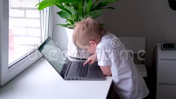 小金发男孩在键盘笔记本电脑上打字按手指按按钮数字教育计算机技术视频的预览图