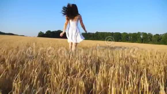 漂亮的女人穿着白色连衣裙带着黄色成熟的小麦穿过田野年轻无忧无虑的女孩享受自由视频的预览图