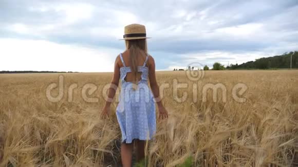 跟着戴草帽的小女孩在阴天穿过麦田可爱的孩子一头金色的长发抚摸着视频的预览图