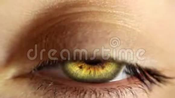 特写女人眼技术效果绿色屏幕动画放大视频的预览图