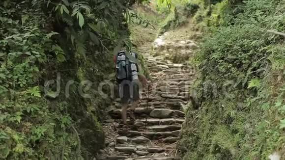 一个白人游客带着背包步行沿着狭窄的尼泊尔石街徒步旅行尼泊尔村庄视频的预览图