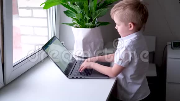 小金发男孩在键盘笔记本电脑上打字按手指按按钮数字教育计算机技术视频的预览图
