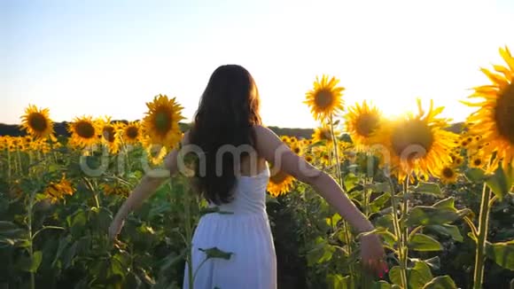 穿着裙子的女孩站在向日葵的田野上举起双手无忧无虑的妇女放松或享受自由视频的预览图