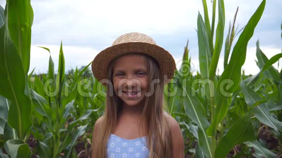 在有机农场的玉米地背景下戴着草帽的美丽微笑的小女孩对着镜头看着视频的预览图