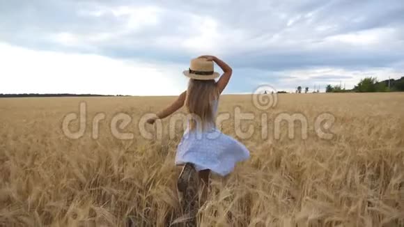 美丽的女孩长长的金发穿过麦田转向相机微笑可爱快乐的孩子视频的预览图