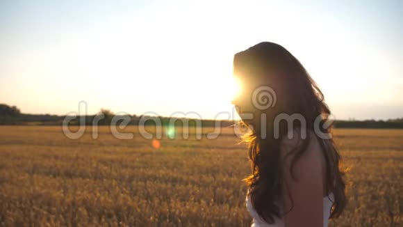 美丽的女孩正沿着麦田走背景是太阳耀斑年轻女子去草地的照片视频的预览图