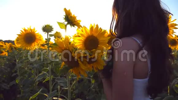 年轻的女孩手里拿着一束鲜花沿着向日葵的田野走着阳光照在背景上跟随女人视频的预览图