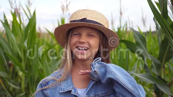 快乐的小女孩看着镜头在玉米地的背景下整理她的金发视频的预览图