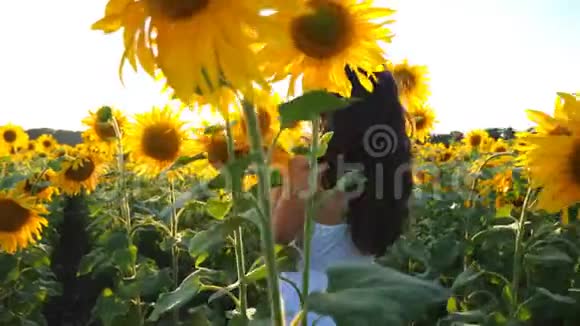 日落时分年轻女孩带着向日葵漫步在田野里跟随无忧无虑的女人散步享受美丽视频的预览图